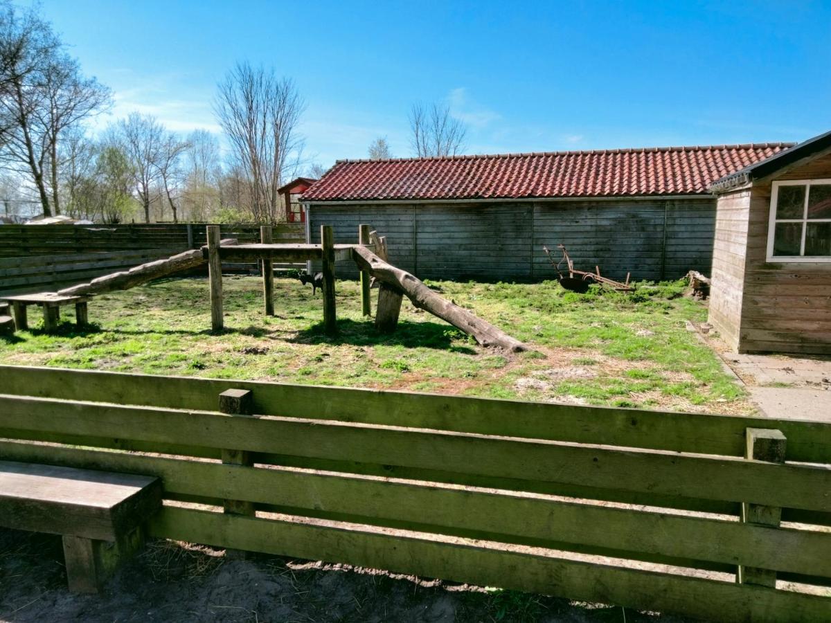 Bj Chalets - Robbengat 68 - Gezellige Chalet Op Vakantiepark Lauwersoog! Vroege Incheck! Exterior photo